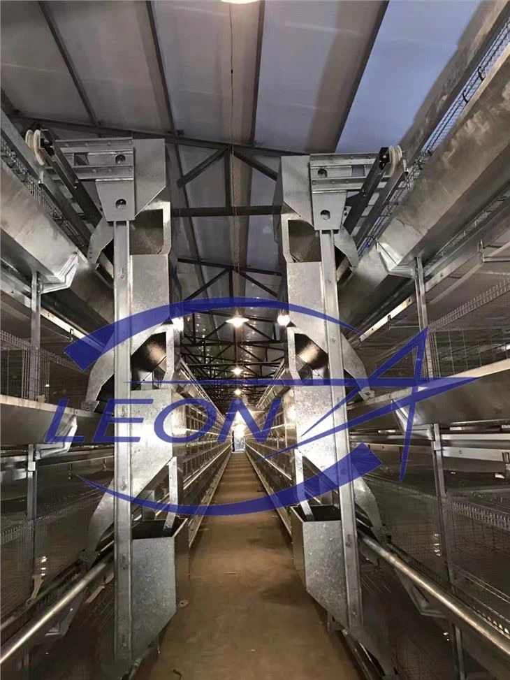 Broiler Chicken Cage Broiler Chicken Cage