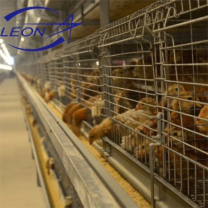 Chicken Cages For Breeders Hens Chicken Cages For Breeders Hens