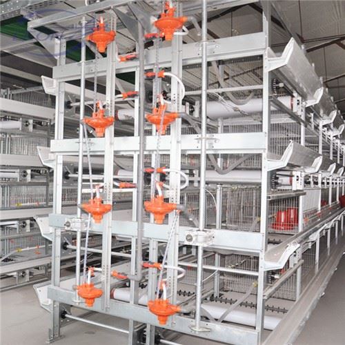 Hot Selling H-Type Broiler Cage