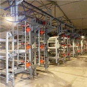 H Type Vleeskuikenstal