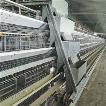 Een Type Layer-kooi