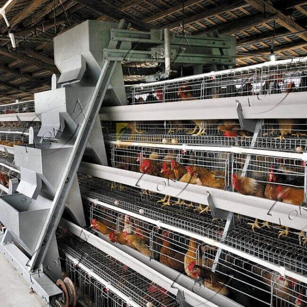 4-tiers-128-birds-layer-chicken-cage