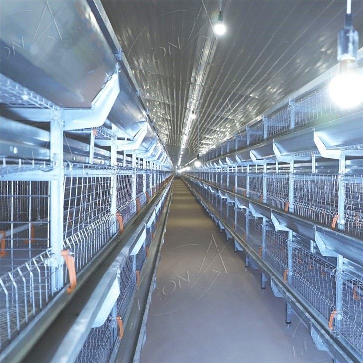 h type broiler cage system