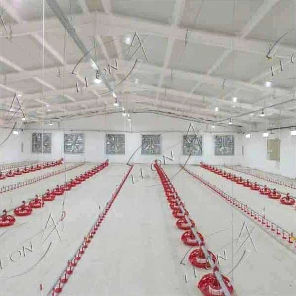 Pluimvee Broiler Vloerverhogingssysteem