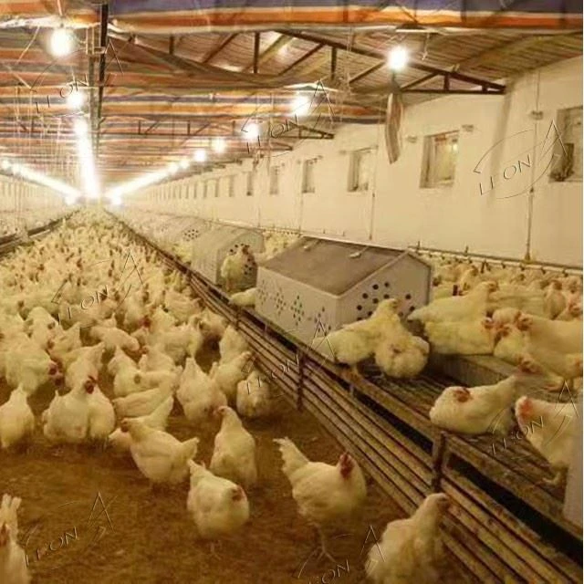 Poultry Manual Laying Nest For Layers And Breeders